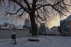 Platz in Jedesheim